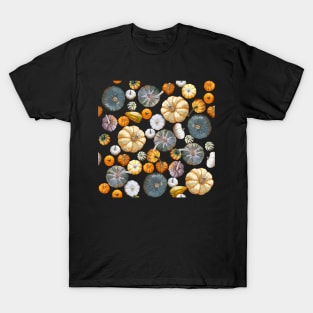 Pumpkin Tile 2 (Dark Blue) T-Shirt